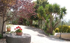 B&B L'Uliveto